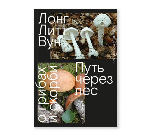 Лонг Литт Вун. Путь через лес.
О грибах и скорби
