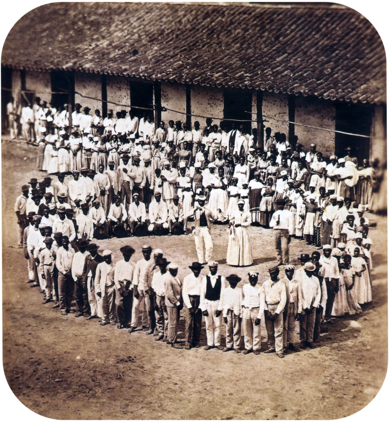 Группа рабов на&nbsp;ферме в&nbsp;провинции Минас-Жейрас, 1876&nbsp;год. 