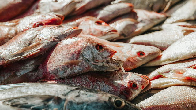 India Frozen Food Market to Grow at 12.32% CAGR by 2034