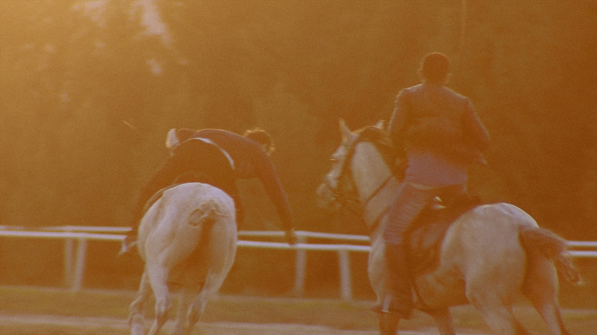 Screenshots from the film. Courtesy of the artist.