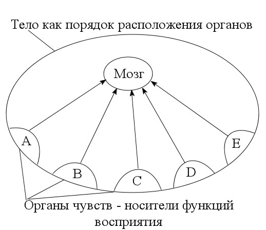 Схема 5. Восприятие