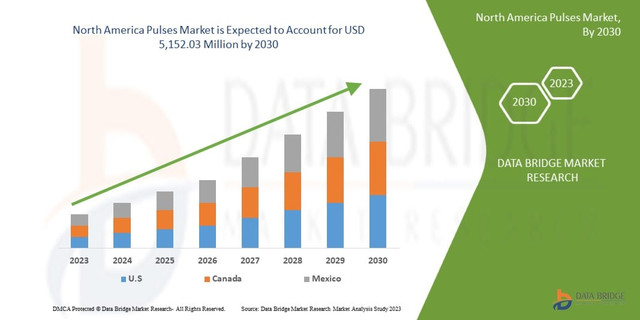 North America Pulses Market Analysis, Demand Trends & Forecast