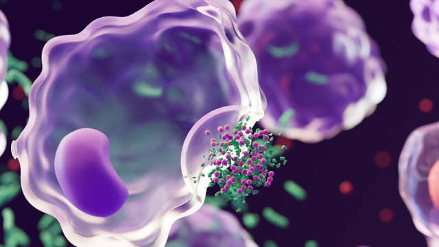 Enzyme Innovation and Corporate Power Shaping the Future of Industrial Biotechnology