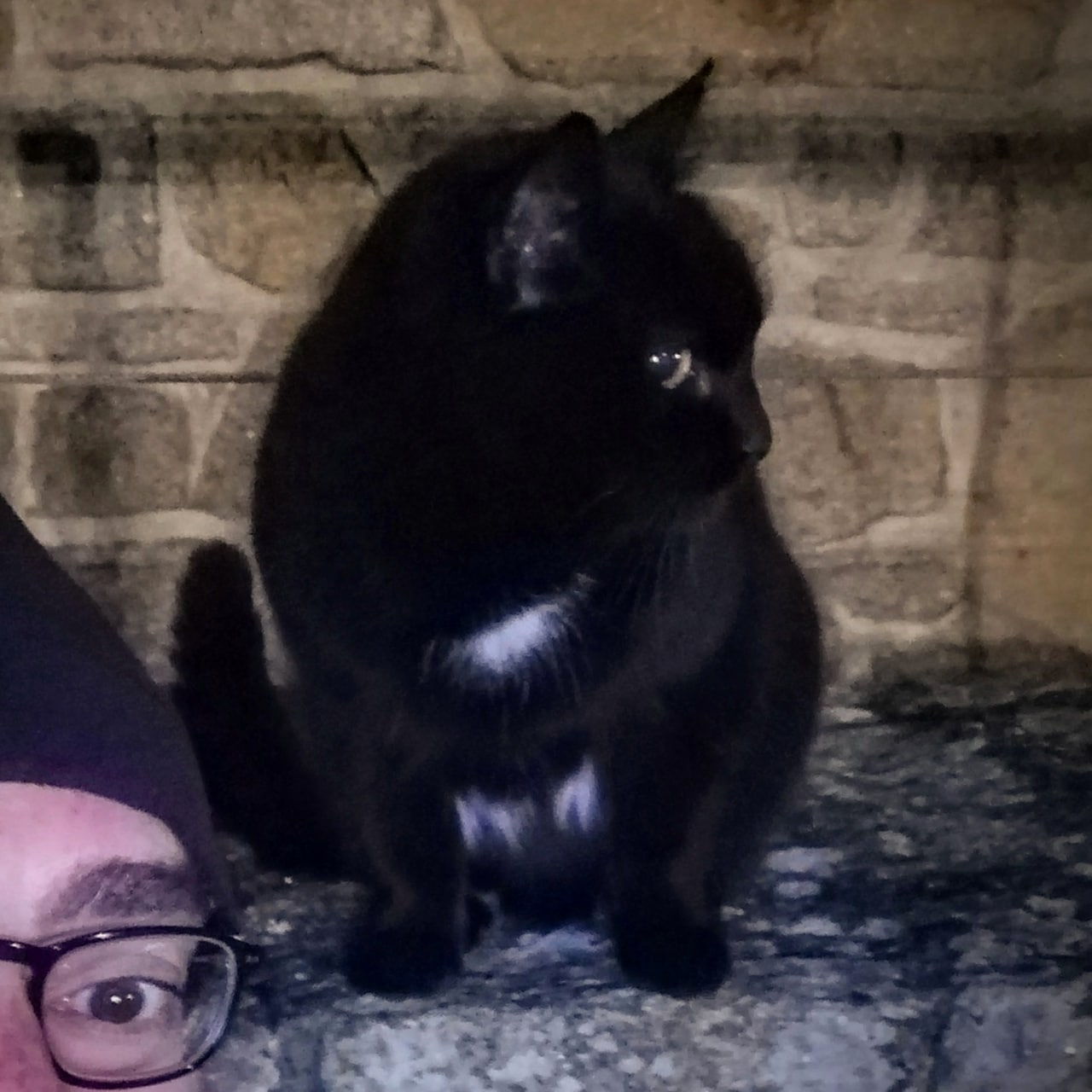 La Petite Chatte, Локмикелик