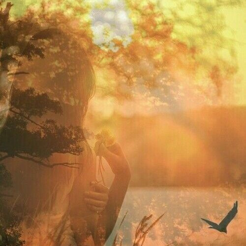 MY LITTLE BIRD - A POEM BY ALEXIS KARPOUZOS
