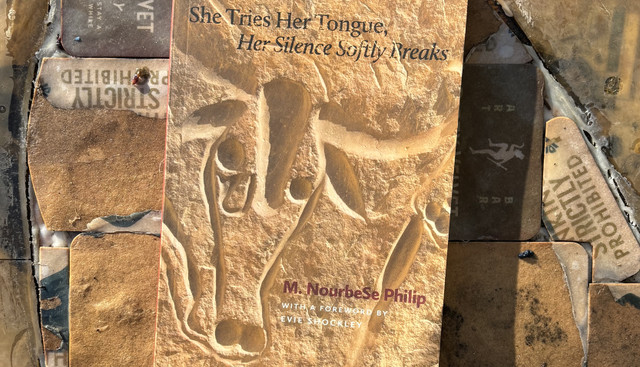 Отсутствие Письма или Как Я чуть Не Стала Тайной Агенткой