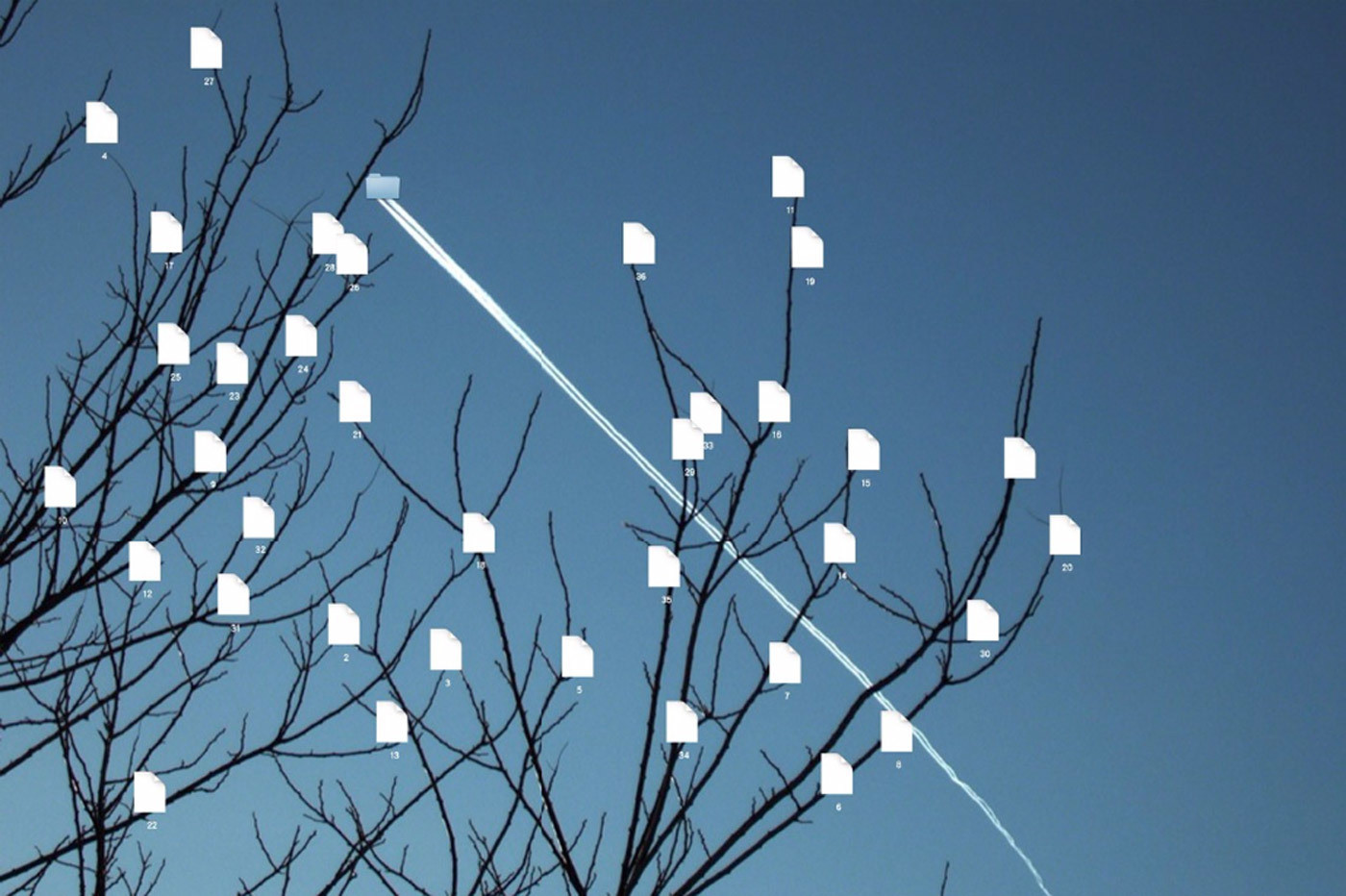 “Jet Folder＆Data Tree” (2013) by Lin Ke.
