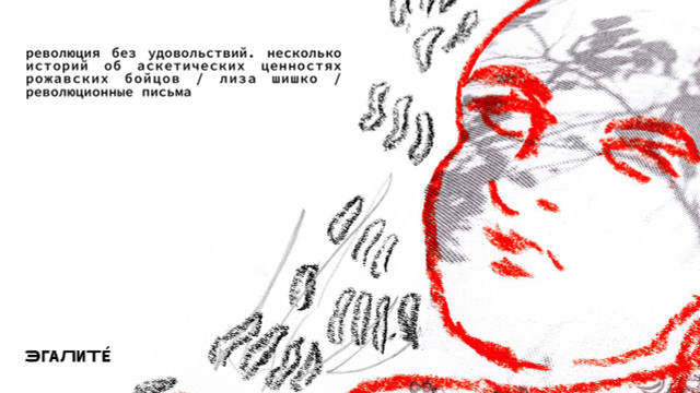 Революция без удовольствий. Несколько историй об аскетических ценностях рожавских бойцов