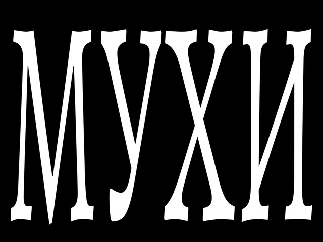 Мухи