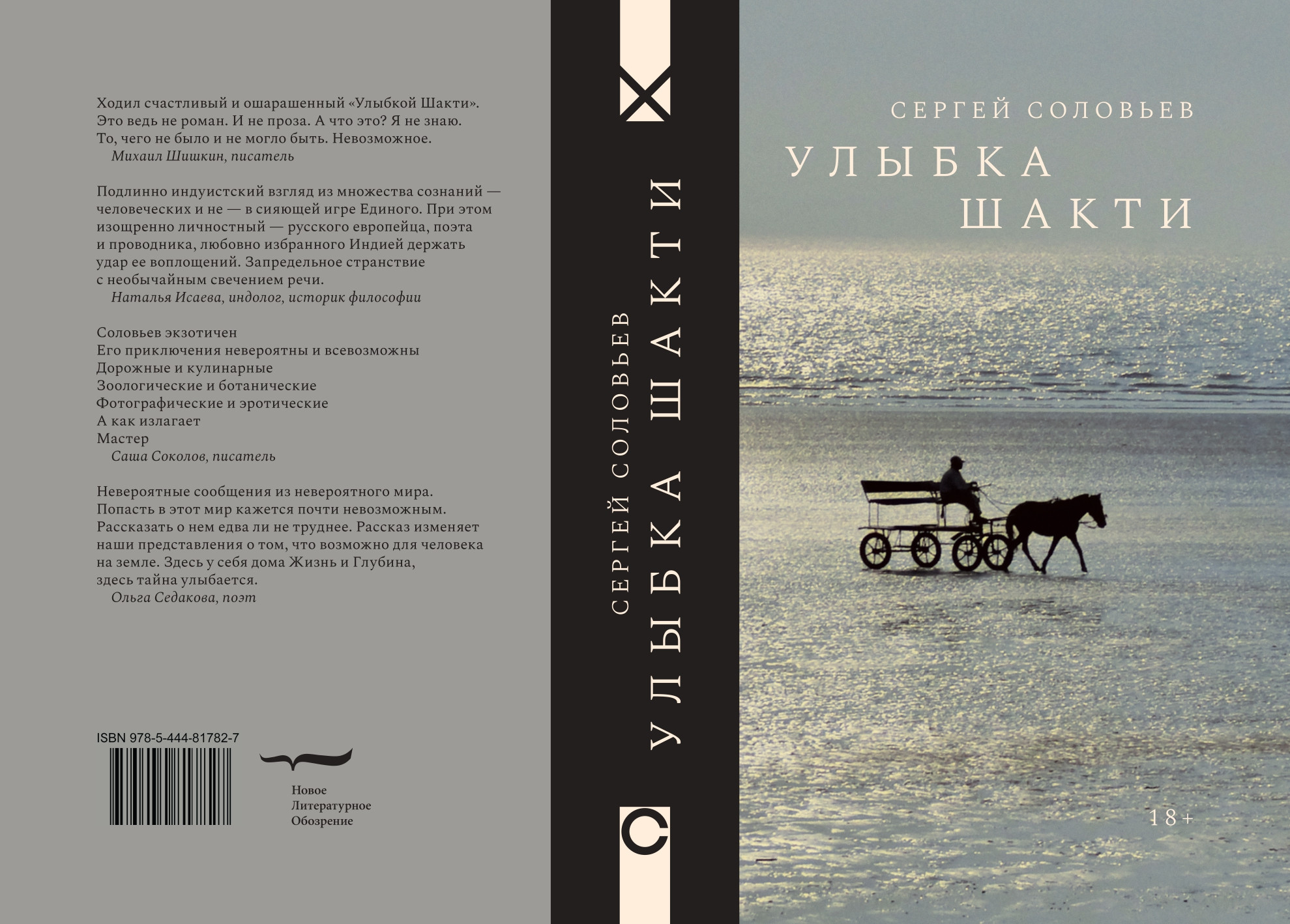 Улыбка Шакти, обложка