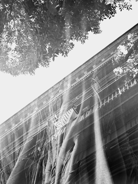 Украденная сакральность