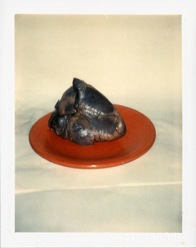 Энди Уорхол, Still-life Polaroids