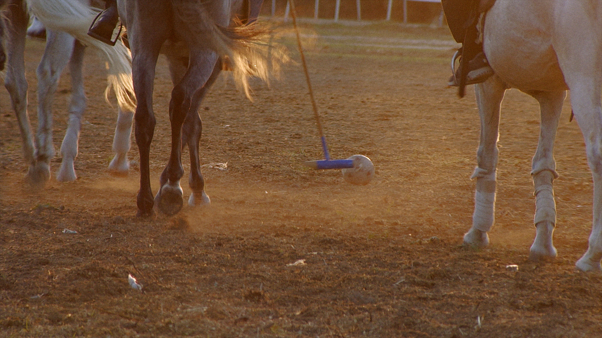 Screenshots from the film. Courtesy of the artist.