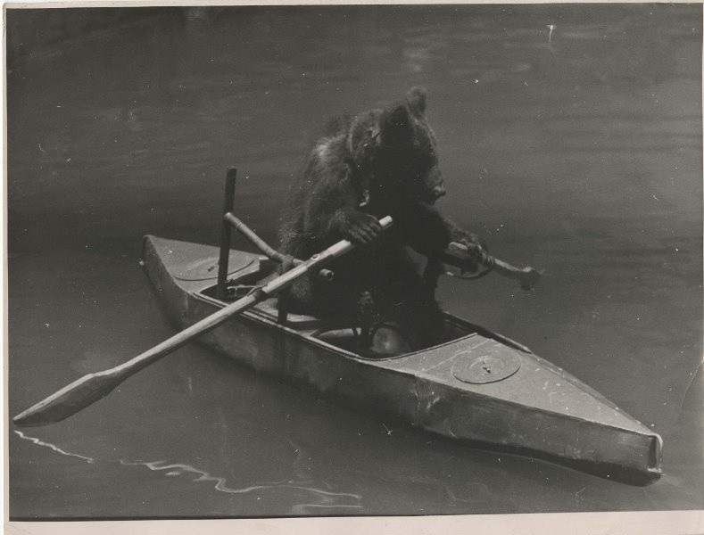 Семён Мишин-Моргенштерн, «Водяная феерия «Счастливого плавания», 1959