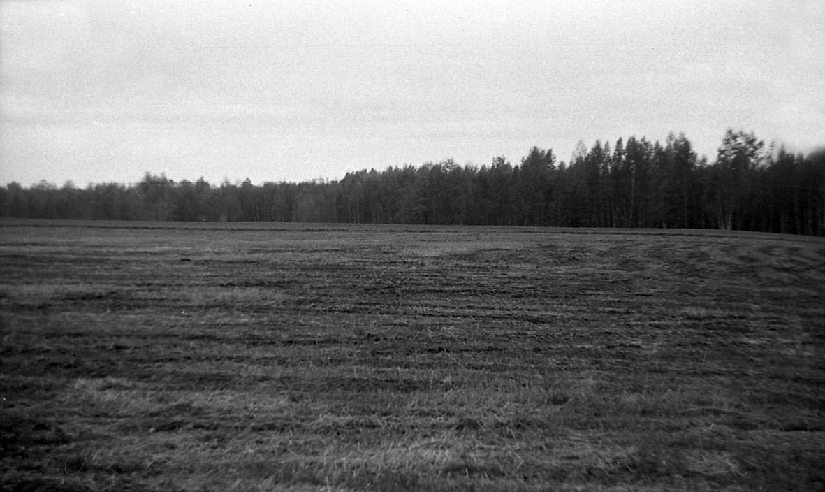 Группа «Коллективные дейсствия» акция «Комедия» 2 октября 1977 г.