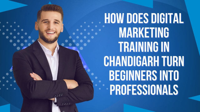 How Does Digital Marketing Training in Chandigarh Turn Beginners into Professionals