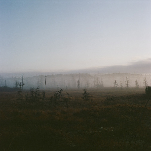 Сахалинские пейзажи суровы, особенно в&nbsp;ноябре. Лиственницы уже опали, туманы спустились, медведи где-то&nbsp;рядом