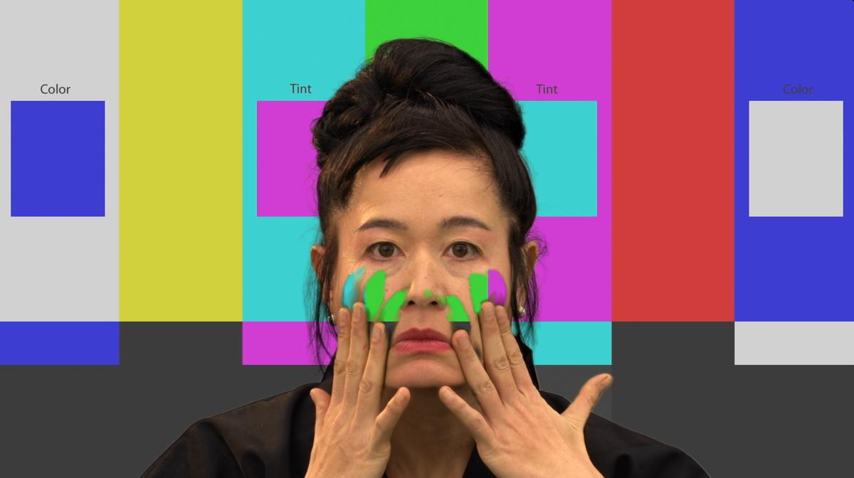 Hito Steyerl. How Not to Be Seen: A Fucking Didactic Educational .MOV File (2013) Видеоработа Штейрль состоит из пяти иронических «уроков» о том, как стать невидимым для цифровых технологий — камер, баз данных, систем распознавания. Работа задаёт вопрос не о том, что изображено, а о том, кто и при каких инфраструктурных условиях вообще может быть видимым. Видео доступно на YouTube.