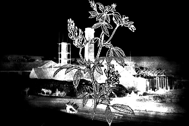 Эрнст Блох. Марксизм и поэзия