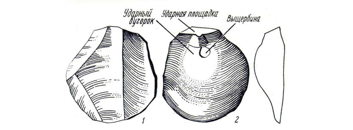 Отщеп. Слева&nbsp;— наружная поверхность (спинка) со&nbsp;следами предшествующих сколов, справа&nbsp;— нижняя поверхность (брюшко)