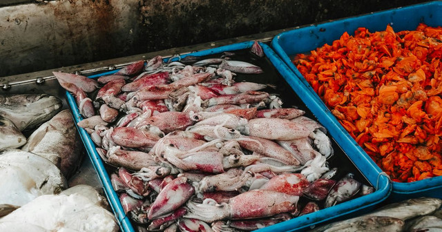 Global Seafood Market Is Entering a New Era of Growth and Innovation