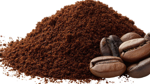 Coffee Bean Market Forecast 2025–2033: Brewing Growth in a Globalized Coffee Culture