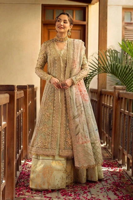 Where to Buy Authentic Pakistani Gowns Online in the USA, UK & Canada: Best Stores Compared