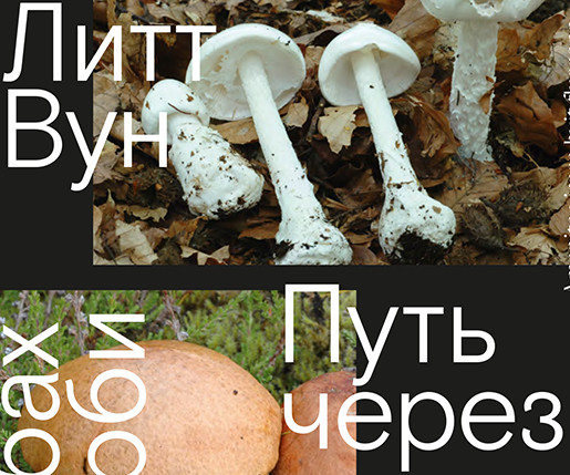 От антропологии гриба к микологии человека