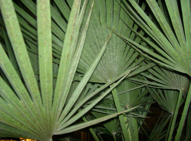 fragmented abolitionist speech