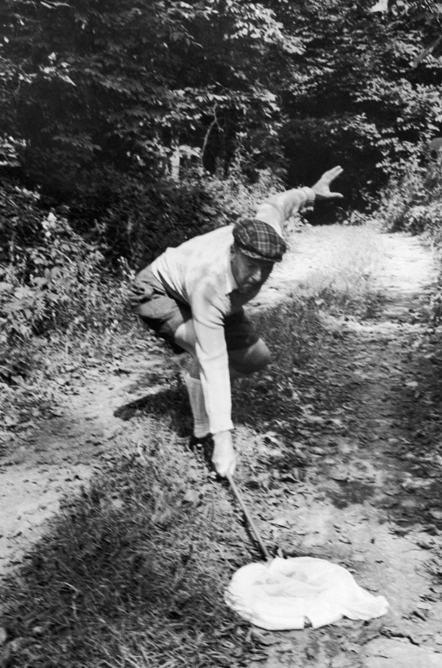 Carl Mydans, Vladimir Nabokov, Ithaca, New York, 1958, Flaunt 
