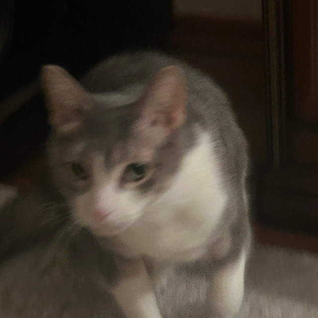 23.11.2025, а вчера мне подарили крестик