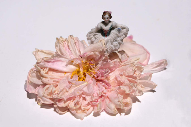 Эссе о цветах. Екатерина Захаркив