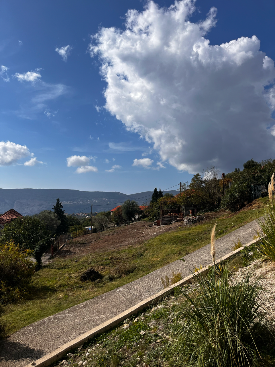 Вон они, откормленные виноградом куры Адриатики.