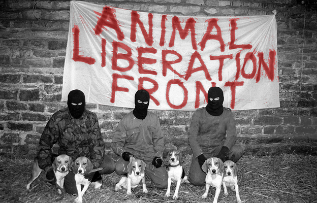 Фронт освобождения животных