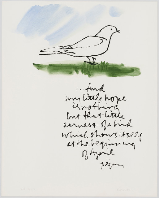 Ранняя пташка поймала червя