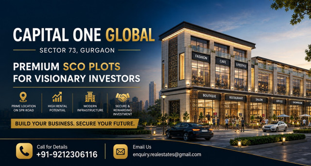 Capital One Global Sector 73 Buyers Should Know Before Buying