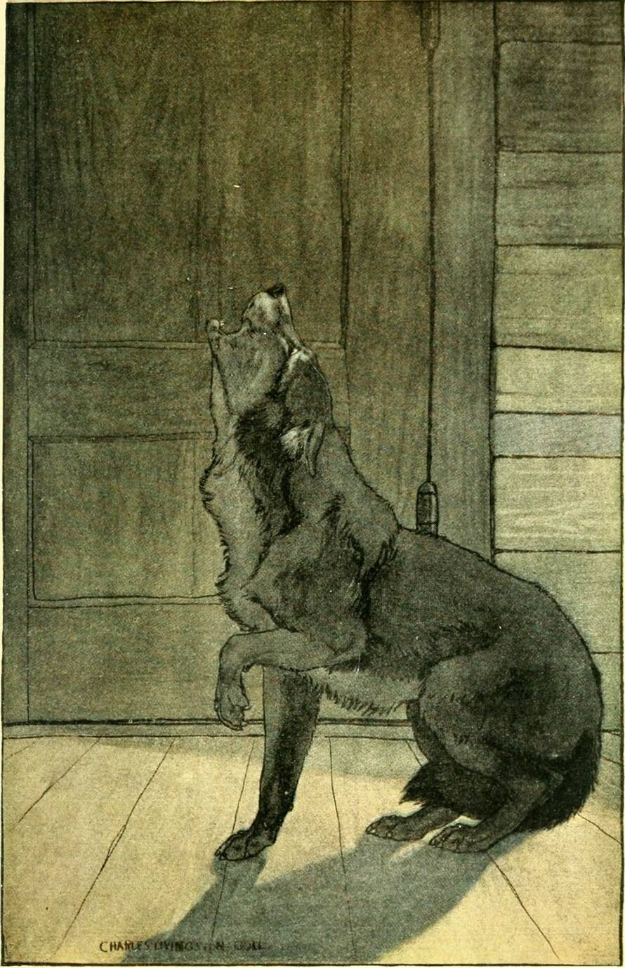 «White Fang was howling as dogs howl when their masters lie dead» (1906) White Fang by Jack London, illustrator: Charles Livingston Bull via Wikimedia Commons