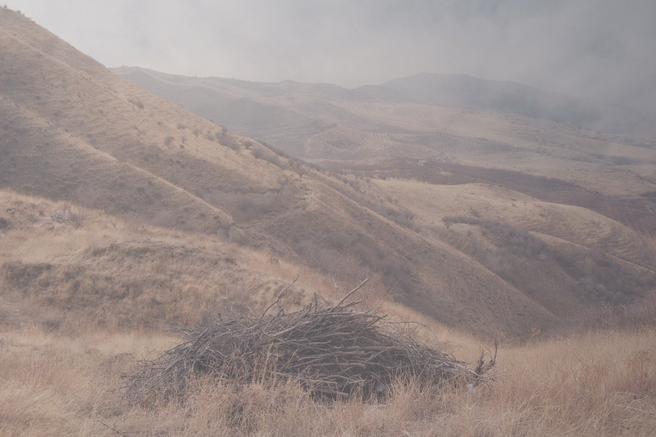 фотография Софии Амировой