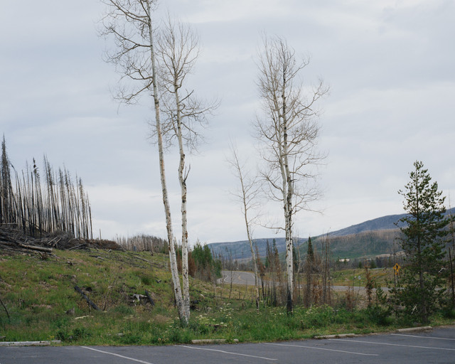 Selected Sentences on Landscape