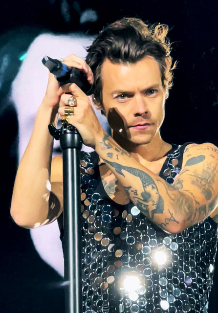 Beyond the Feather Boa: Harry Styles as the Metonymy of the Modern Pop Star