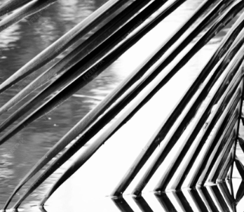 Эгосенситивность и аномия