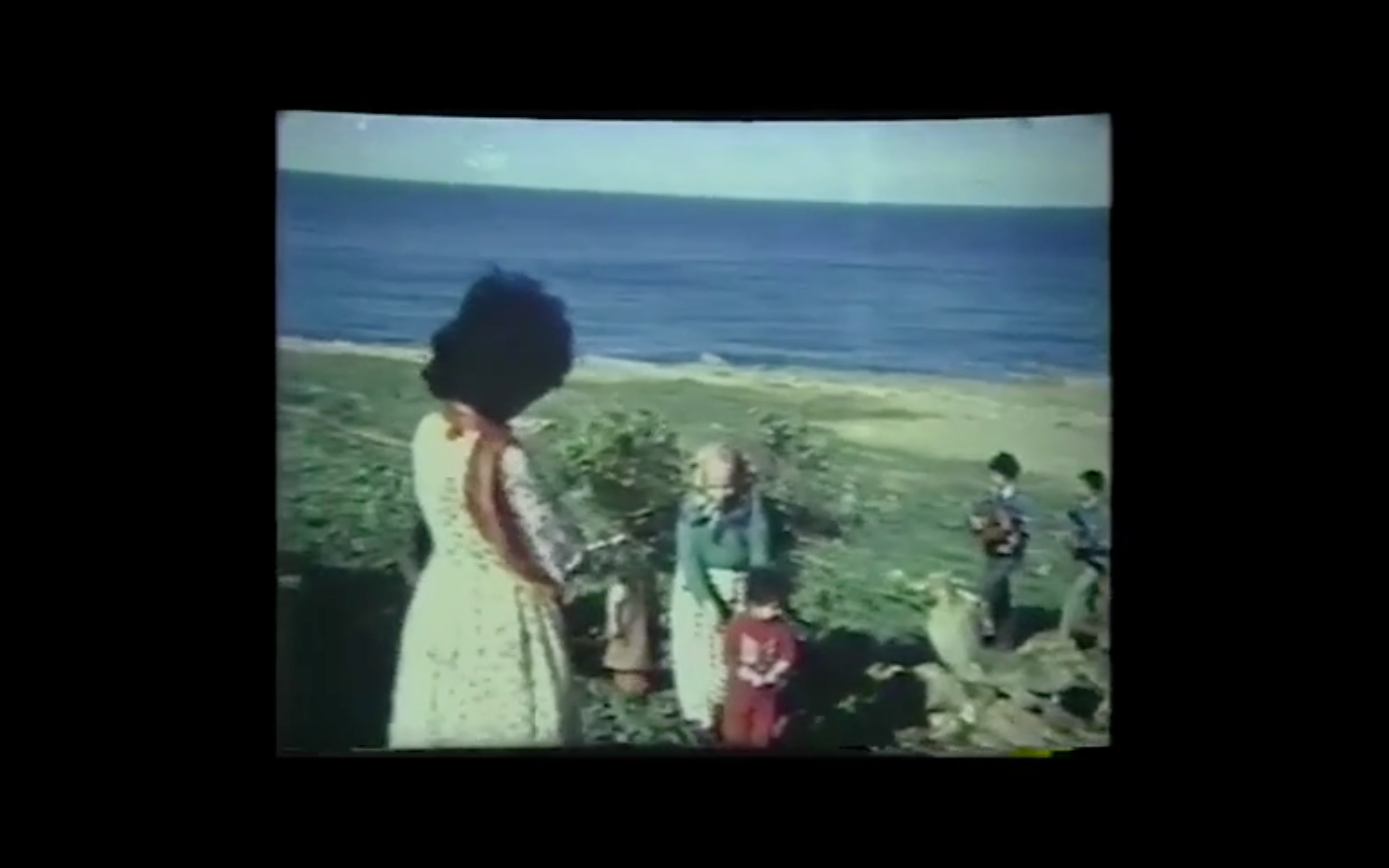 The Nubah of the Women of Mount Chenoua (1979), dir. Assia Djebar