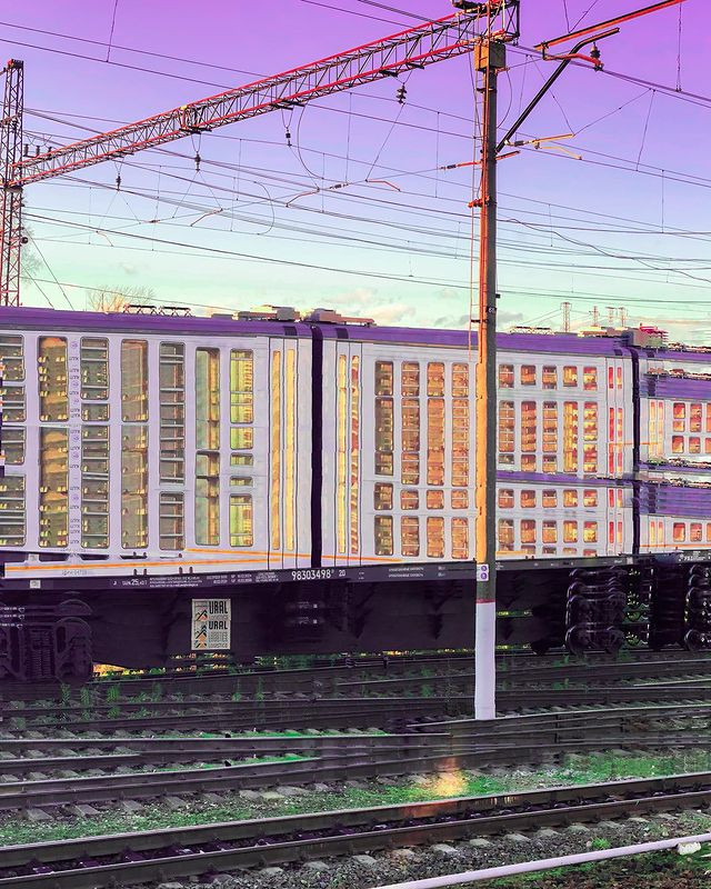 Anastasia Zhilina. Multiple-decker train