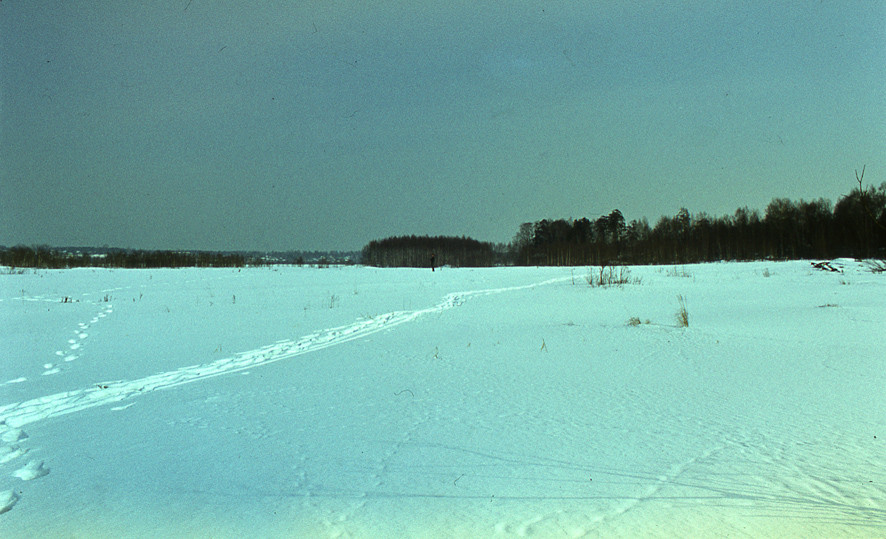 Группа «Коллективные дейсствия» акция «Глядя на водопад» 12 февраля 1981 г.