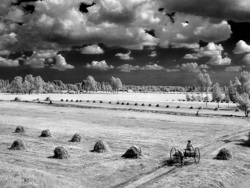 Elio Ciol, Haymaking in Magredi (1963) / www.arthillgallery.com