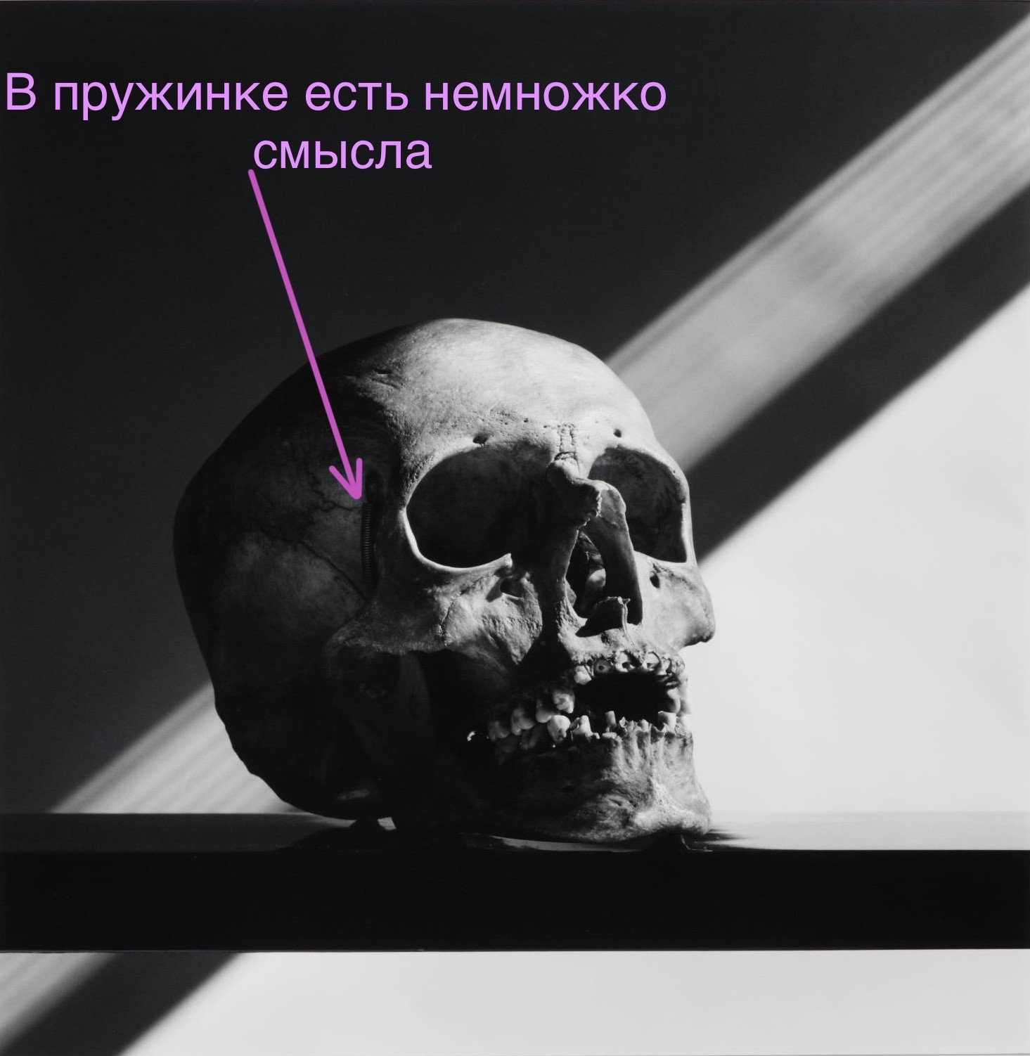 “Skull”, Robert Mapplethorpe, 1988