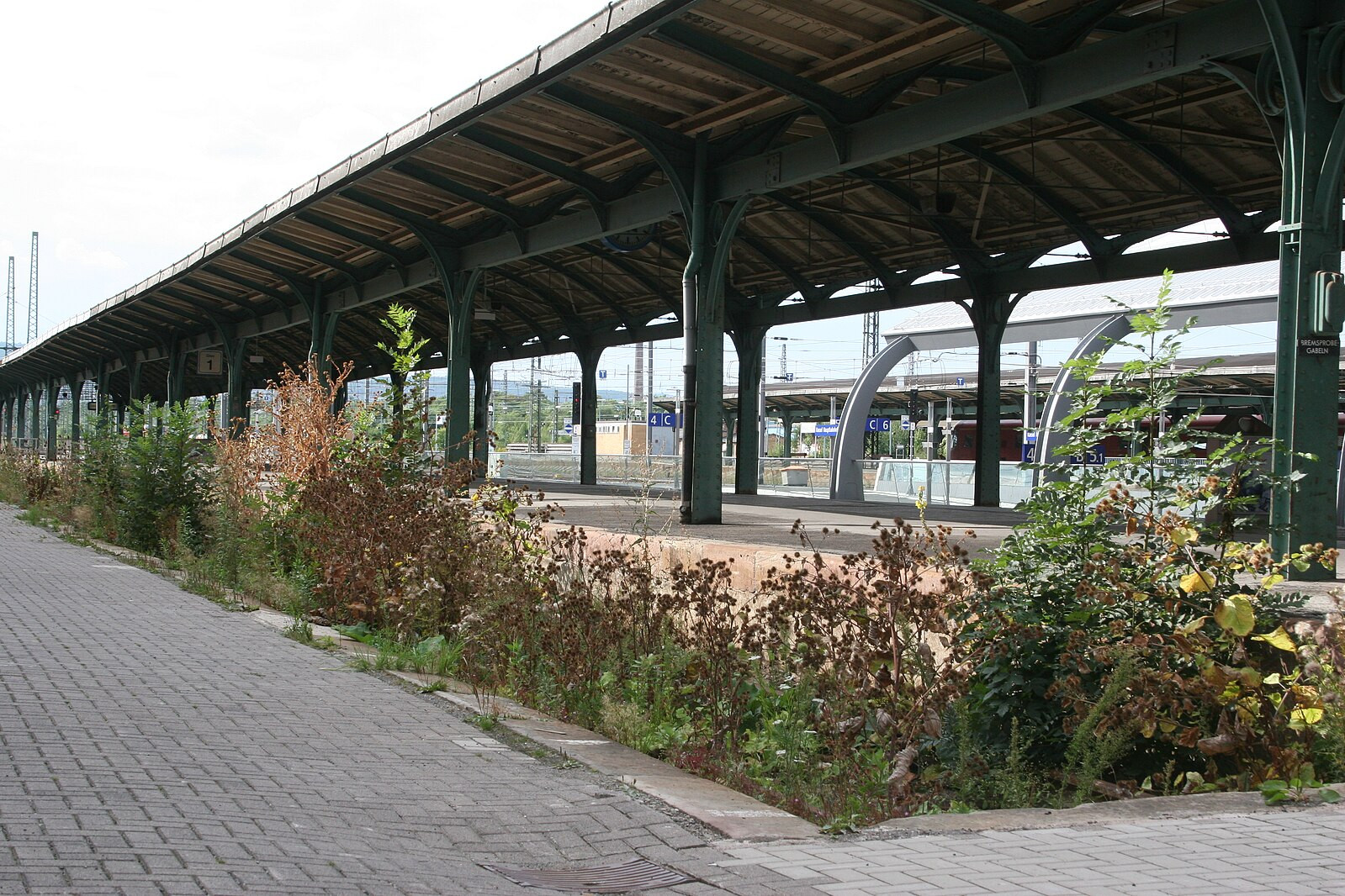 What is beyond plants is at one with them (То, что находится за пределами растений, едино с ними), documenta X, Kassel Das über Pflanzen ist eins mit ihnen, documenta X, Kassel, 1970.  Работа созданная на территории заброшенного вокзала в Касселе. Художник соединил местную растительность с неофитами, высадив их на гравийном ложе выведенного из эксплуатации железнодорожного пути № 1. Быстрорастущие растения из Южной и Юго-Восточной Европы начали активно распространяться, постепенно вытесняя первоначальную флору. Вайнбергер рассматривает этот продолжающийся по сей день ботанический процесс как метафору социальных трансформаций и глобальной миграции. 