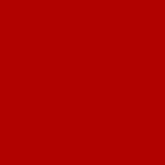 Vladimir Strelkov