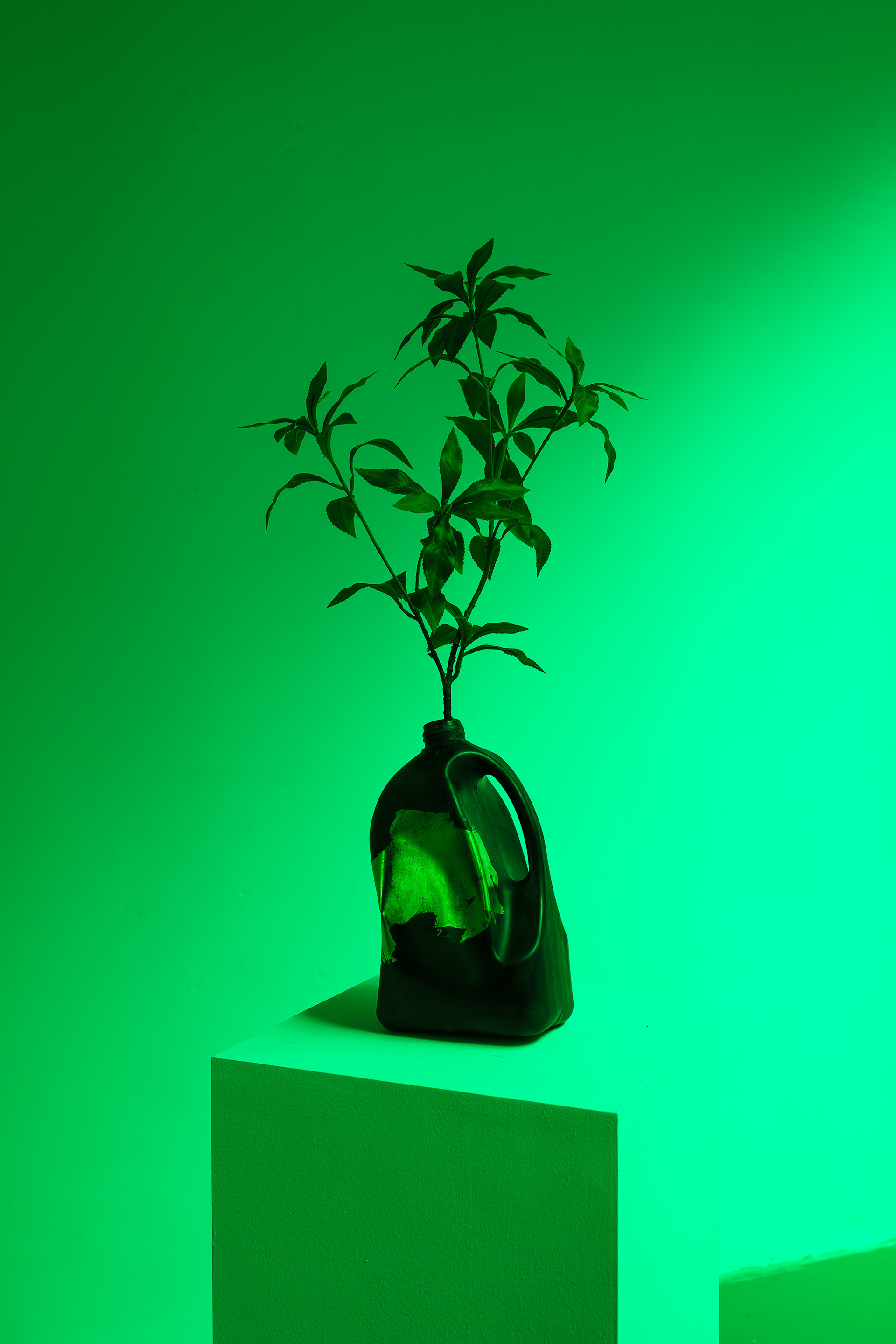 Fresh Nature: Black Milk (2023). Photo by Dan Weill, image courtesy of the KCCUK &amp; Sungbaek Kim.