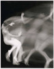 letalestrange_1